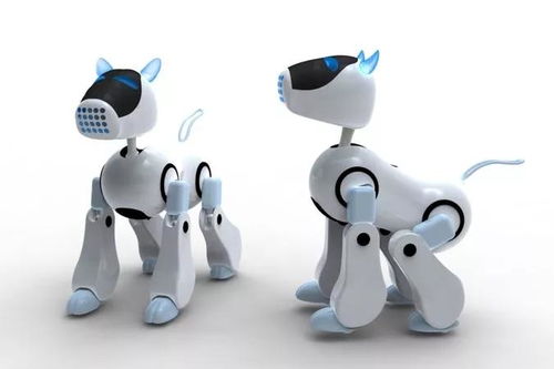 從藝術(shù)考場(chǎng)到職場(chǎng)賽道 探索藝考后的多元職業(yè)路徑——以教學(xué)用模型及教具銷售為例