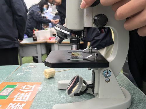 校園科技節(jié)腦力值拉滿，學(xué)生玩嗨了！教學(xué)模型與教具銷售迎來熱潮